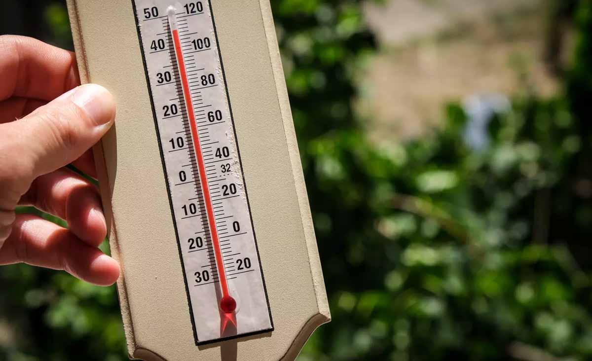 Canicule