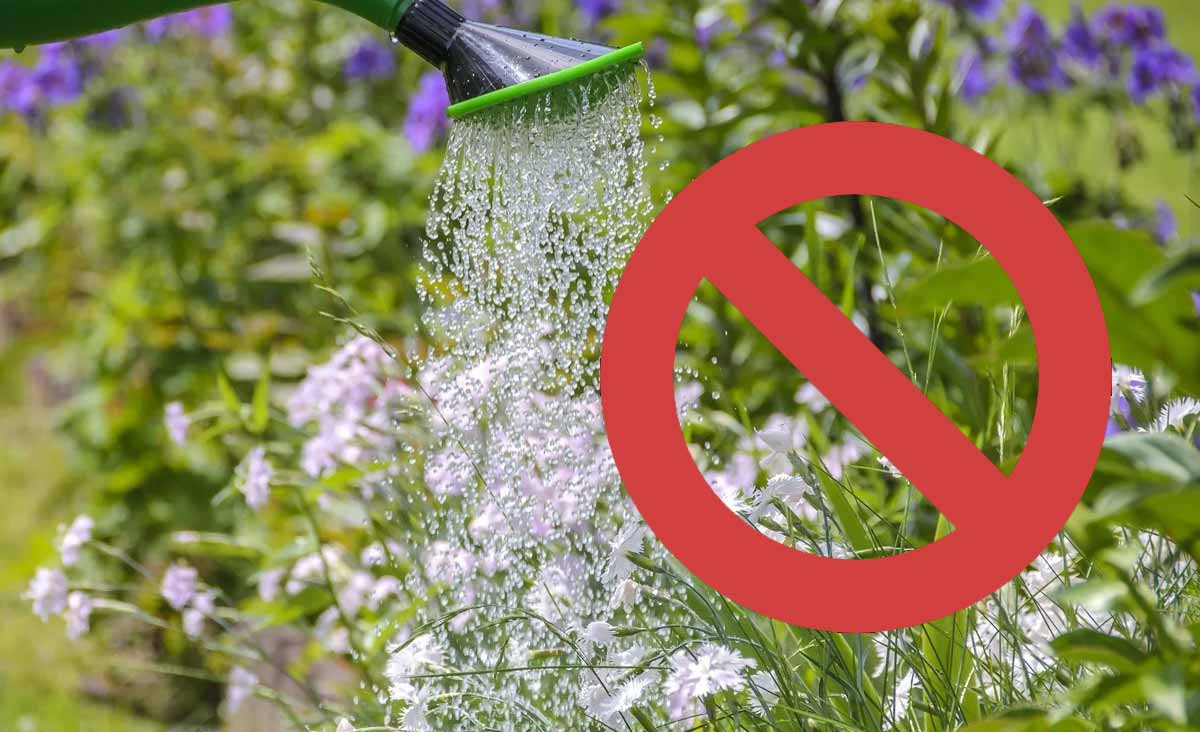 arroser son jardin