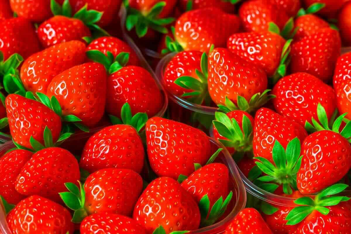 fraises