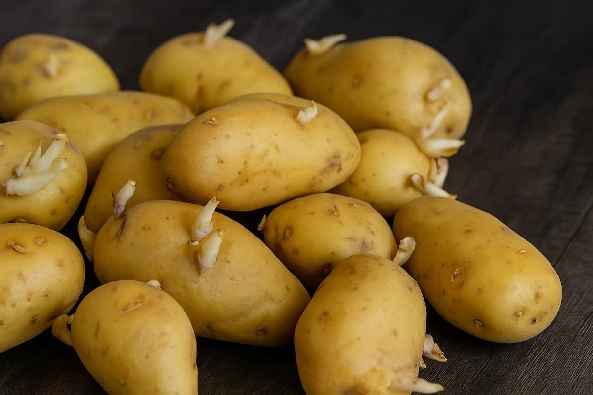 pommes