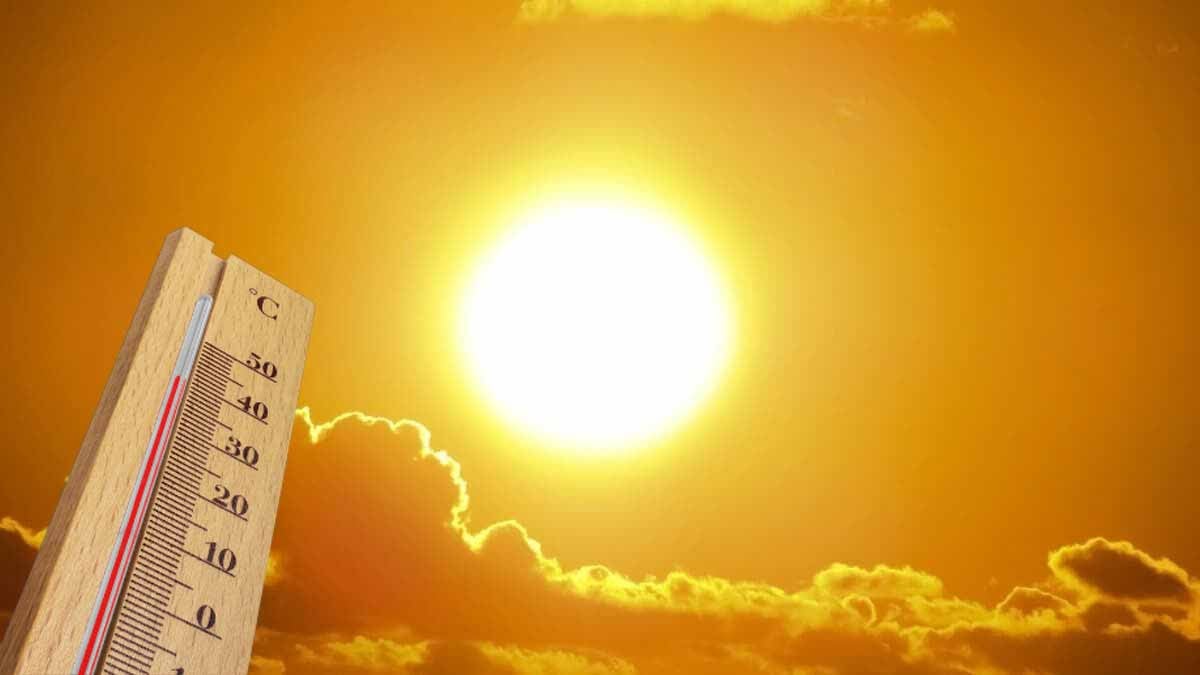 canicule