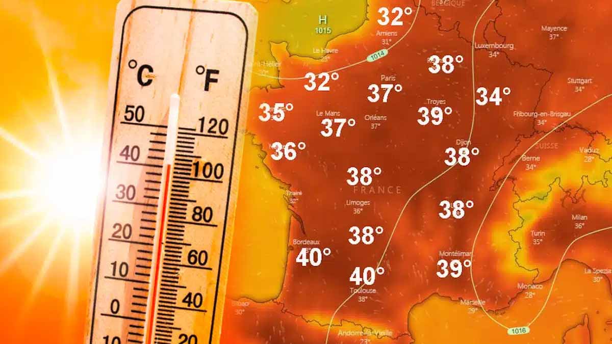 canicule