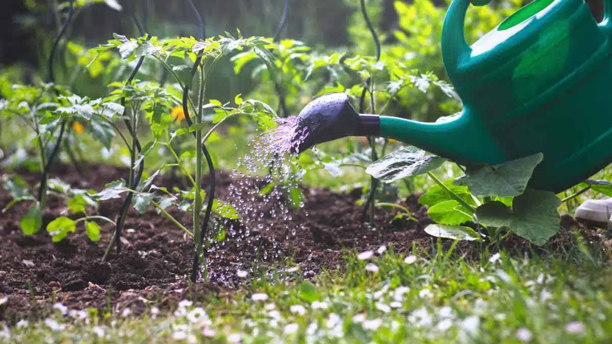 interdit d’arroser son jardin