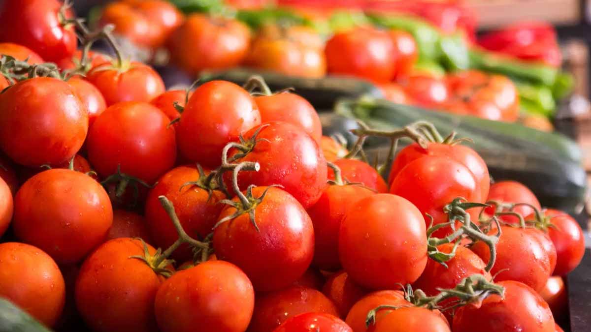 tomates mexicaines