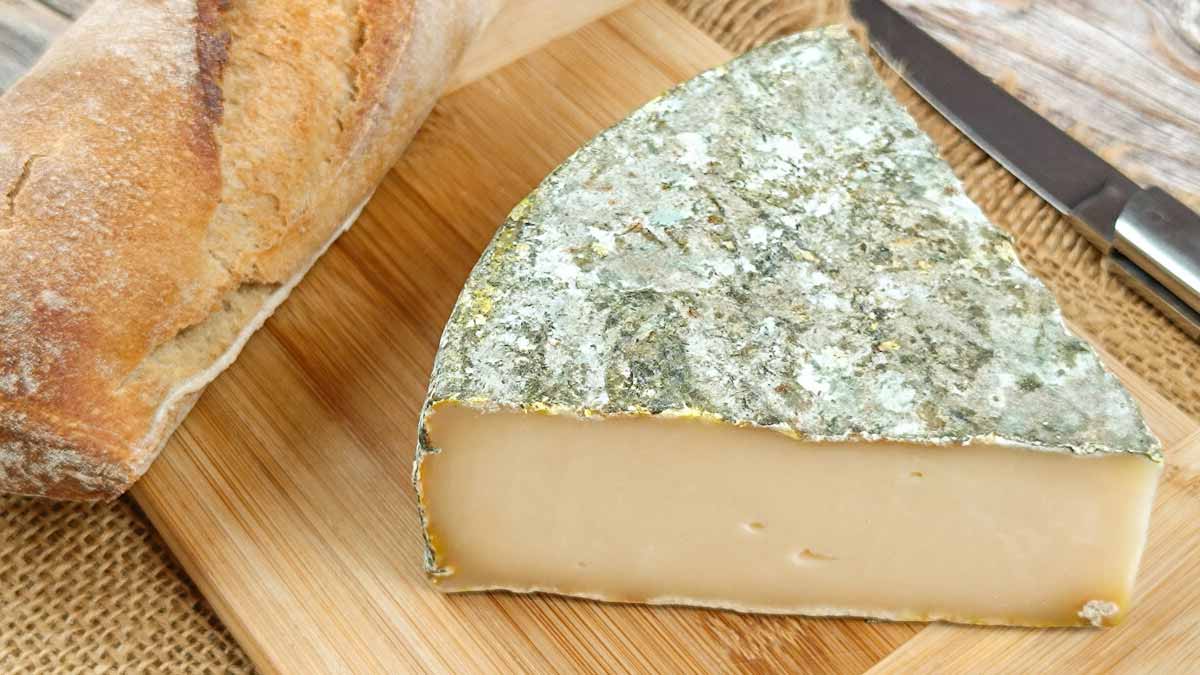 fromages contaminés
