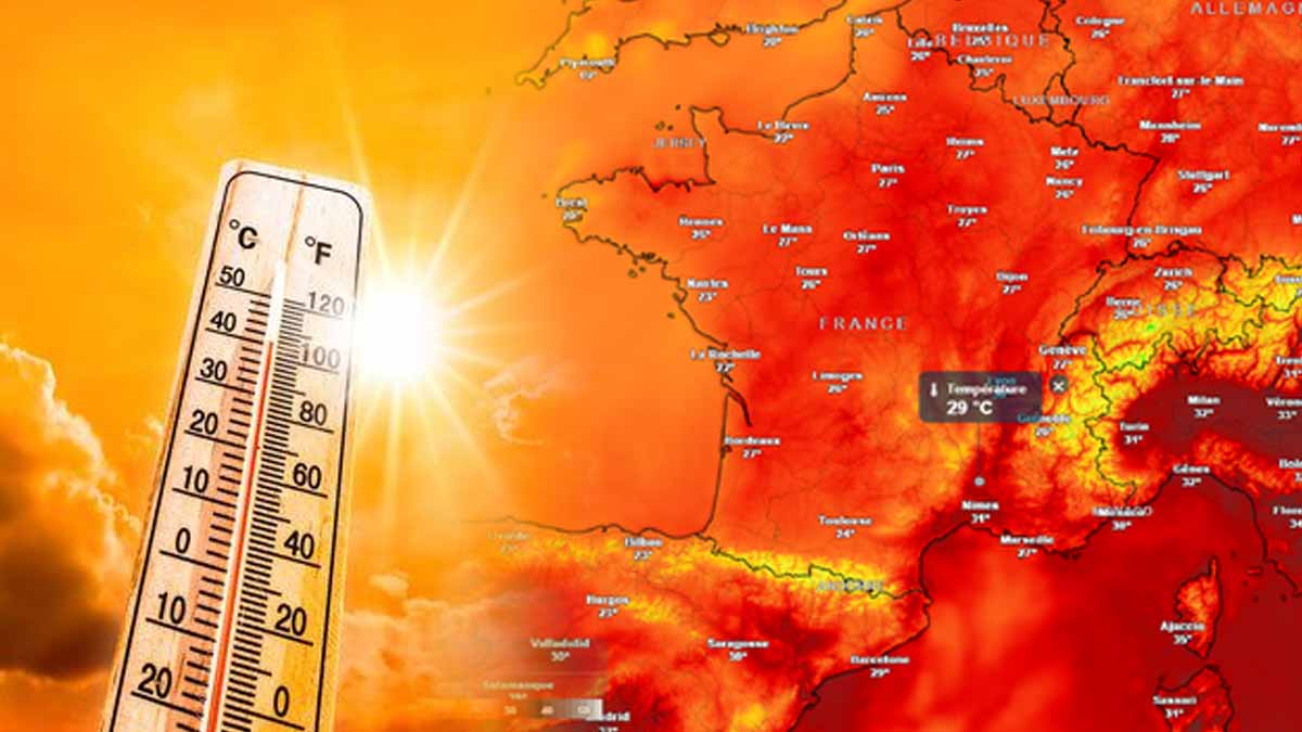 canicule